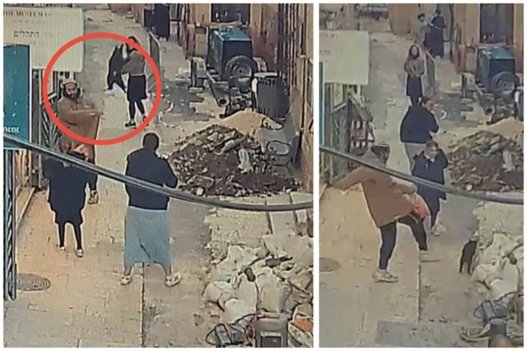 התעללות בחתול