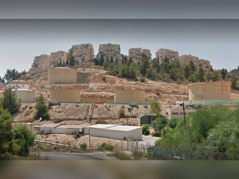 whatsapp image 2025 03 26 at 11.21.58