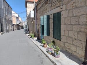 whatsapp image 2025 03 16 at 13.16.06