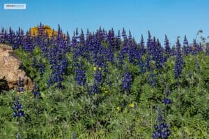 whatsapp image 2025 03 04 at 11.10.53