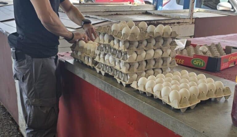 שוטר ליד דוכן שוק עם מאות ביצים לא מסומנות בעכו