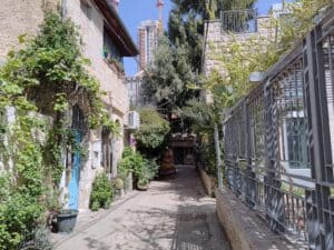 סמטה ירושלמית מוצלת עם צמחייה וסגנון אדריכלי ישן לצד מגדלים חדשים ברקע