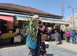 whatsapp image 2025 04 02 at 14.01.29