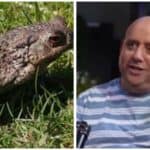 Side-by-side image of Hapoel Jerusalem CEO Uri Sheratzky and a toad, referencing the nickname "Karpad" given to the chairman of the board