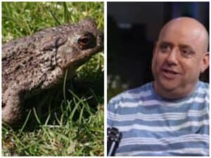 Side-by-side image of Hapoel Jerusalem CEO Uri Sheratzky and a toad, referencing the nickname "Karpad" given to the chairman of the board