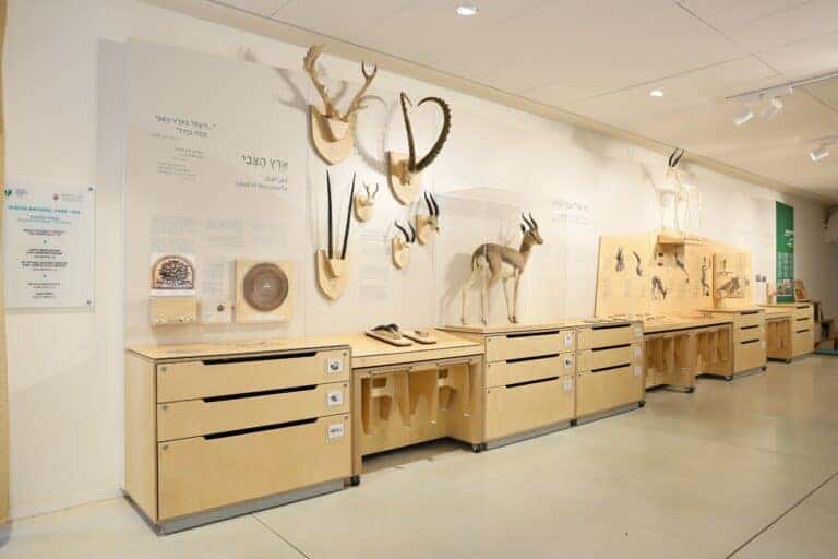 Jerusalem Gazelle Valley education center with antelope exhibits and learning tools
