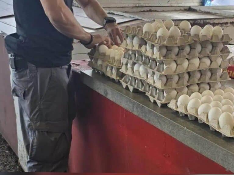 שוטר בודק מגשים של ביצים בשוק פתוח, חשד לזיוף או הברחה