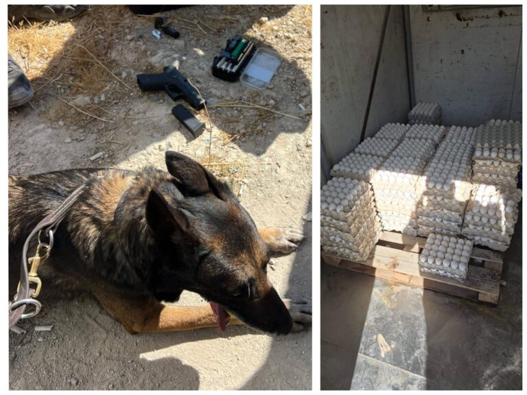 Alt text: Police dog next to Glock and ammo found in East Jerusalem; illegal eggs discovered in hidden container