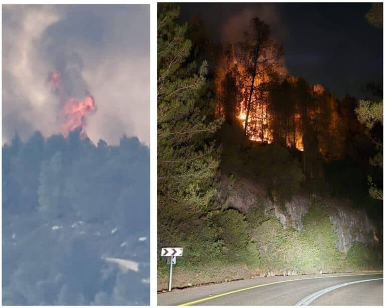 הצתת יער סמוך לבית חולים בירושלים