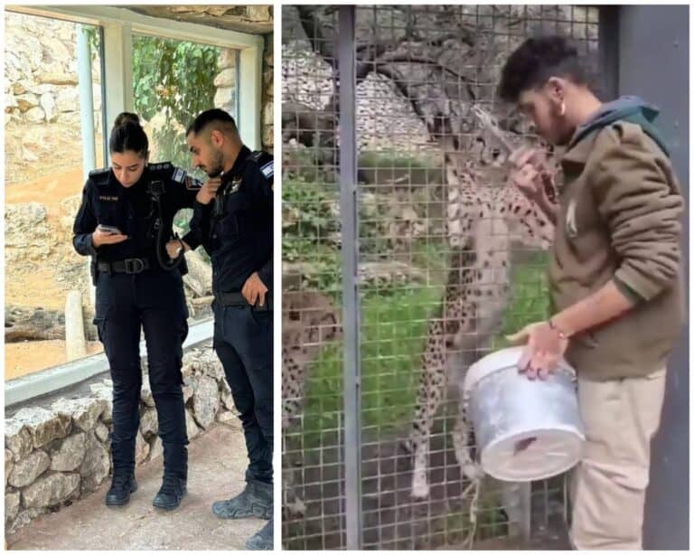 Police investigators and zookeeper Uriel Nuri at Jerusalem Biblical Zoo after deadly tiger attack ar