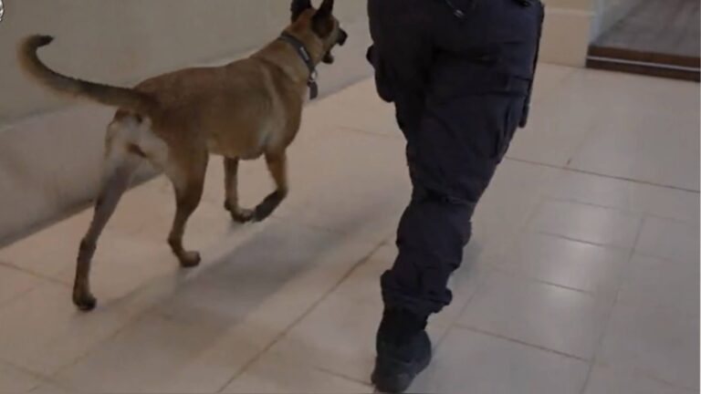 مداهمة الشرطة تكشف غسيل أموال بقيمة 30 مليون دولار وتغلق الصنبور المالي للجريمة في بيت المقدس