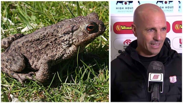 מאמן הפועל ירושלים בכדורגל זיו אריה, לצד תמונה של קרפד - שזהו כינויו של יו"ר הוועד המנהל הקבוצה