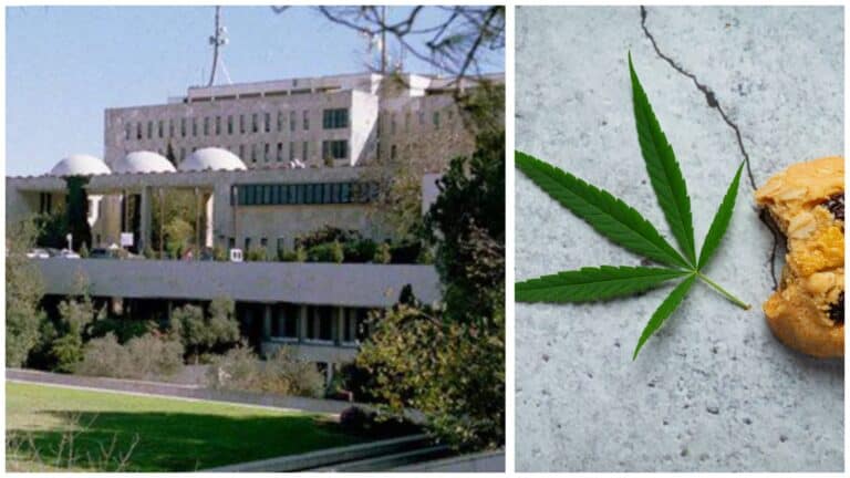 قسم الطوارئ للأطفال في مستشفى هداسا جبل المشارف بالقدس مع رسمة ورقة قنب وبسكويت