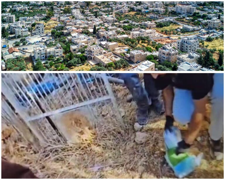 Aerial view of Beit Safafa in Jerusalem and security footage showing a hidden handgun found inside a chicken coop