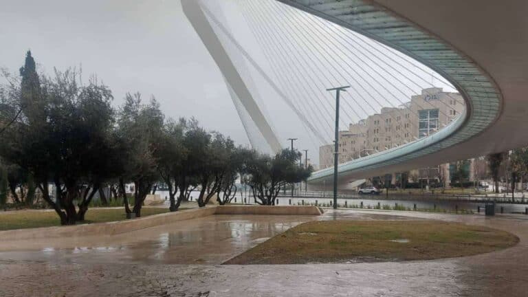 জেরুজালেমে চর্ডস ব্রিজের কাছে প্রথম বৃষ্টি, ভেজা রাস্তা এবং গাছ