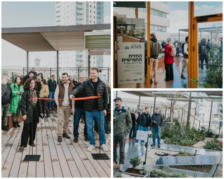 המרכז הראשון בישראל לגגות מועילים נפתח על גג בניין כלל בירושלים ומציג מודל עירוני חדש לאקלים, אנרגיה וקהילה (Photo: Meital Izbicki)