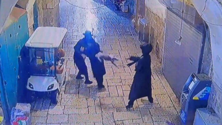 תיעוד ממצלמות התצפית של המשטרה בסמטה בעיר העתיקה בירושלים, שבו נקלט חשוד בהתעללות בחתול (Photo: Israel Police Spokesperson)