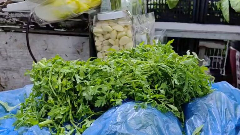 רשאד טרי בדוכן עשבי תיבול בשוק מחנה יהודה בירושלים, צמח מרפא פופולרי בקרב יהודים וערבים (Photo: Jerusalem Online News - Barry Shahar)