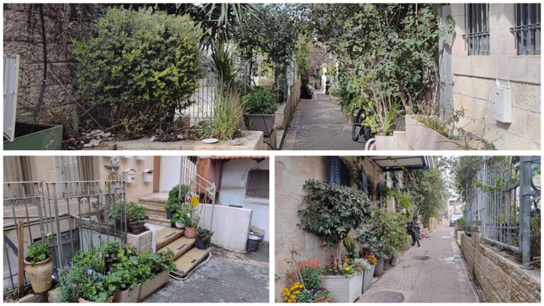 Pasu herba di antara halaman dan rumah di kawasan Nahlaot, Baitulmaqdis (Photo: Jerusalem Online News – Bari Shahar)