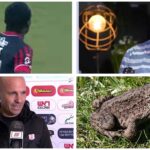 קברניטי הפועל ירושלים אורי שרצקי וזיו אריה, יחד עם סדריק דון וקרפד לפי כינוי יו"ר הוועד המנהל