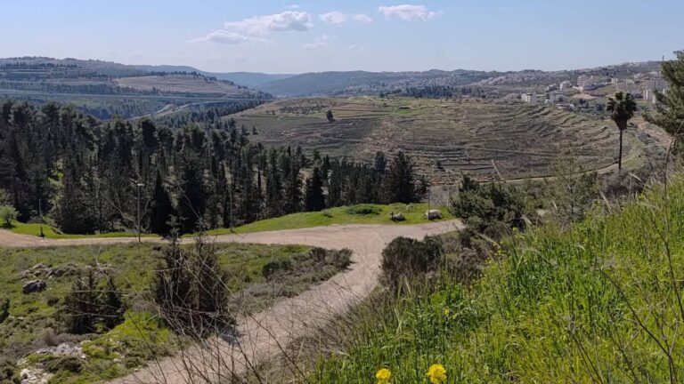 יער רמות בירושלים משקיף אל קו האופק לכיוון בית שמש לאחר פגיעת טיל
