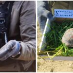 צב יבשה שנפגע מרסיסי יירוט סמוך לירושלים