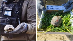 צב יבשה שנפגע מרסיסי יירוט סמוך לירושלים