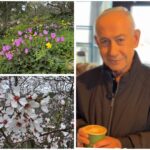 ראש הממשלה בנימין נתניהו עם כוס קפה בביקור בסטף בהרי ירושלים לצד פריחת האביב באזור