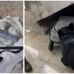 נשק מאולתר מסוג קרלו מוסלק מתחת לעגלת תינוק בבית בוואדי ג'וז בירושלים