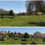 מבקרים מעטים יושבים על הדשא בגן סאקר בירושלים ביום שמש בסוף החורף