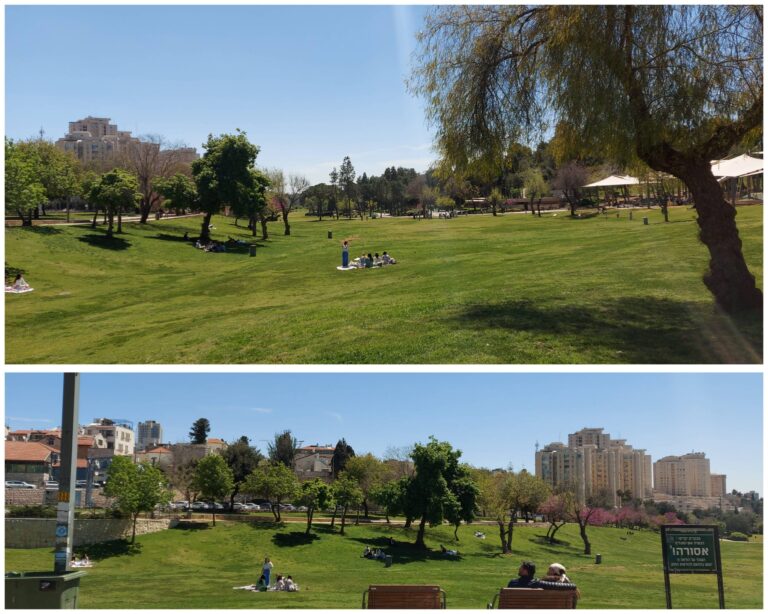 מבקרים מעטים יושבים על הדשא בגן סאקר בירושלים ביום שמש בסוף החורף