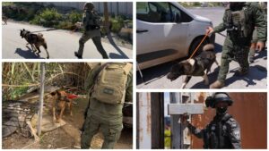 חילוץ כלבים מתנאים קשים במחנה שועפאט בירושלים במהלך פעילות כוחות