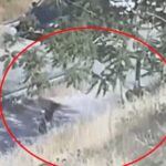 שני חשודים מתועדים סמוך למוקד הצתת חורש בירושלים