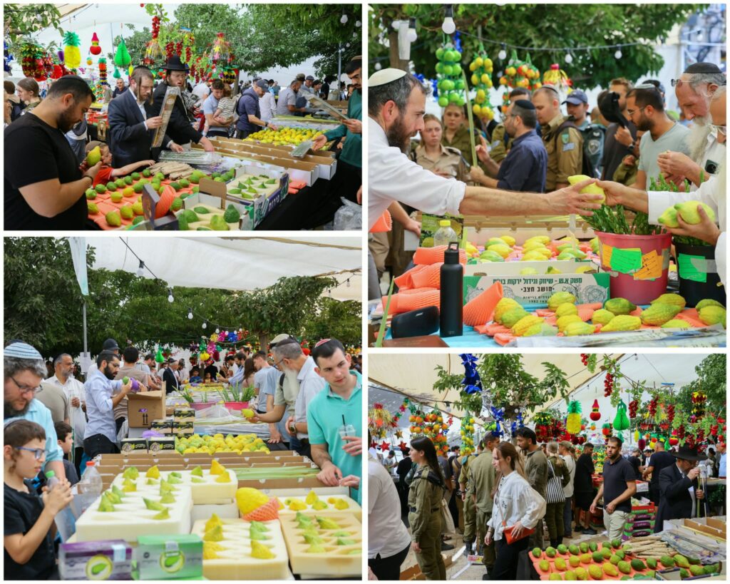 שוק ארבעת המינים בירושלים בכיכר ולרו ליד שוק מחנה יהודה לקראת סוכות