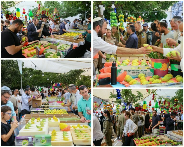 שוק ארבעת המינים בירושלים בכיכר ולרו ליד שוק מחנה יהודה לקראת סוכות